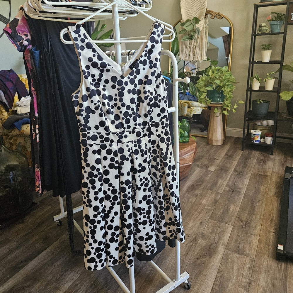 The Limited swing dress